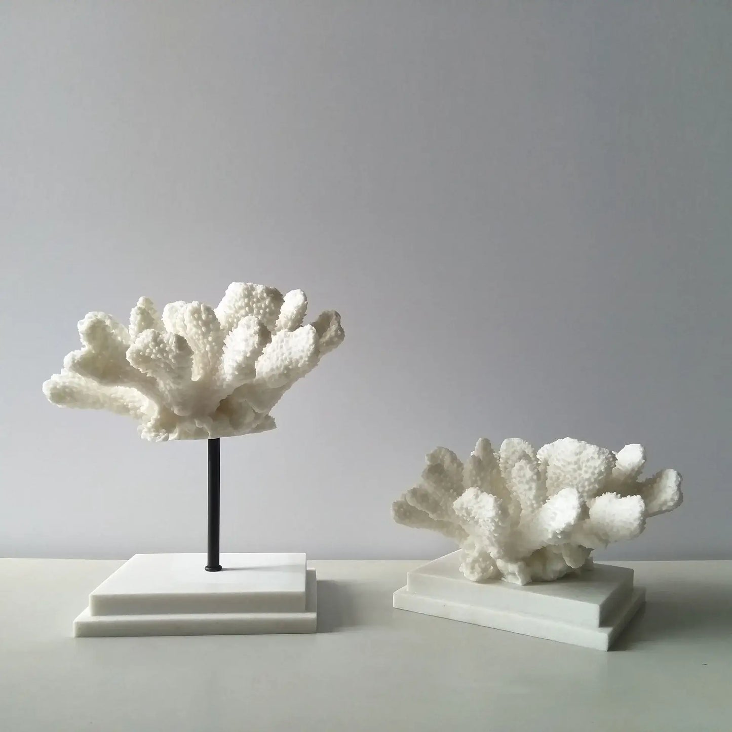 Fermaoggetti Statua "Coral Nizza" - con Corallo Sintetico in Resina Acrilica in diversi modelli.