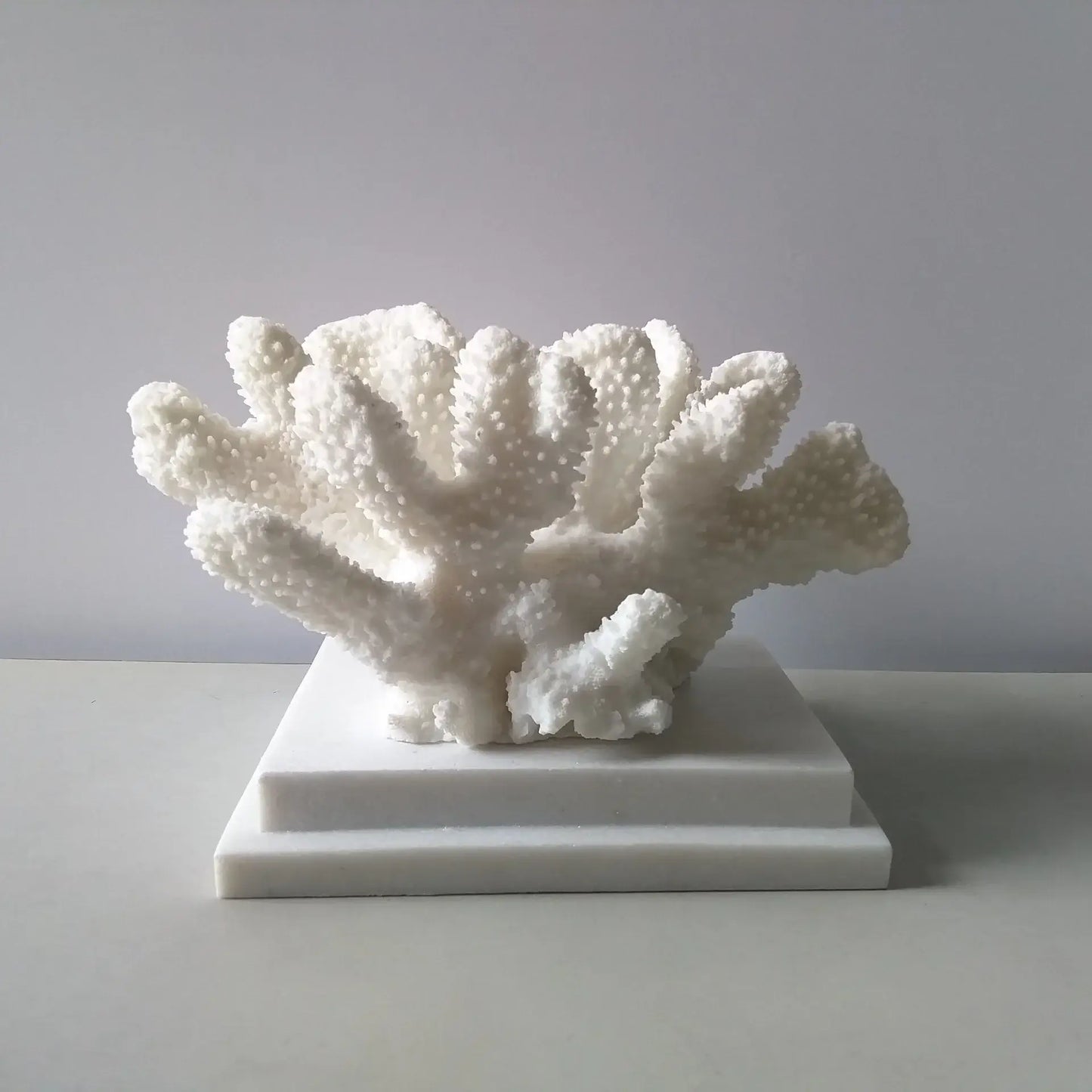 Fermaoggetti Statua "Coral Nizza" - con Corallo Sintetico in Resina Acrilica in diversi modelli.