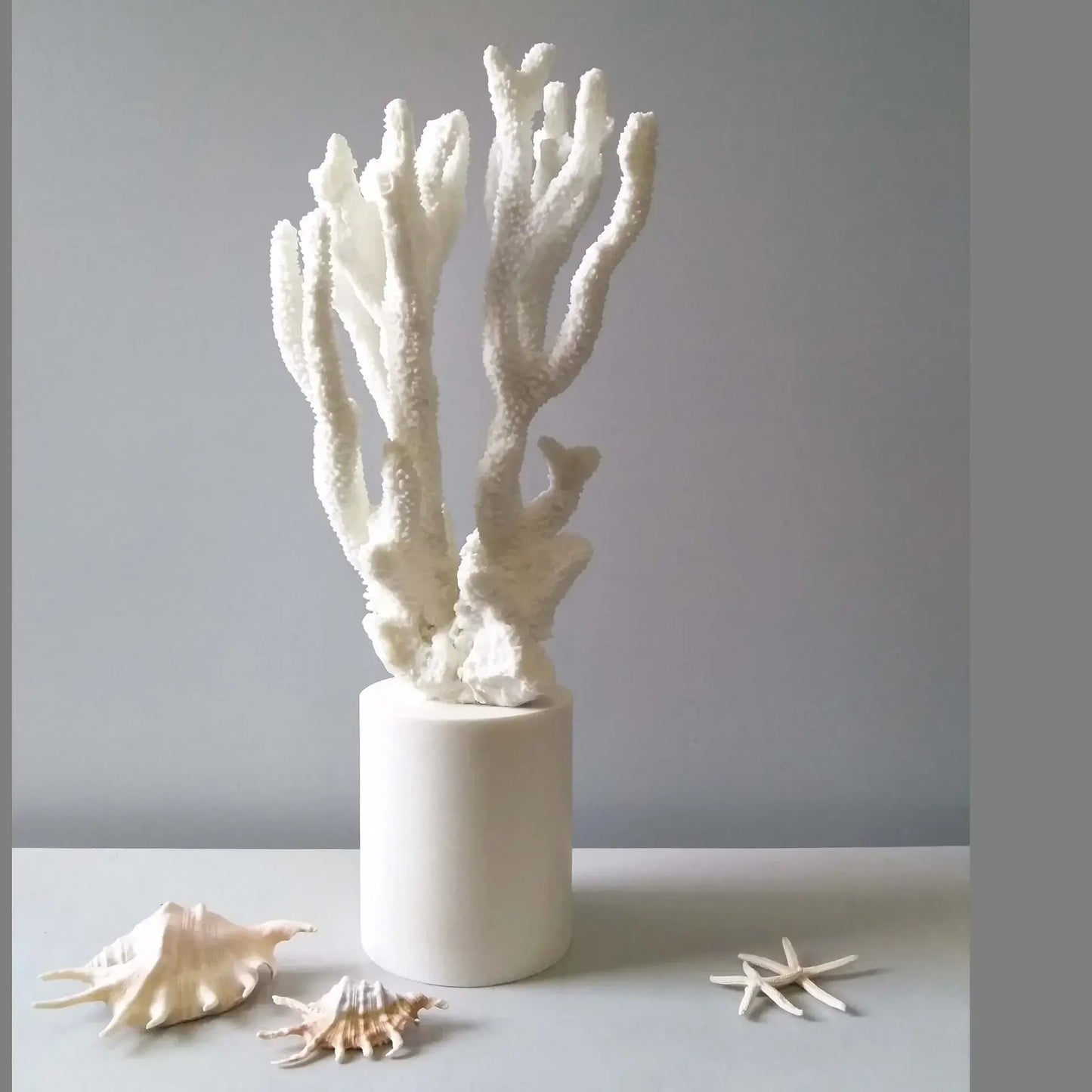 Fermaoggetti Statua "Coral Nizza" - con Corallo Sintetico in Resina Acrilica in diversi modelli.