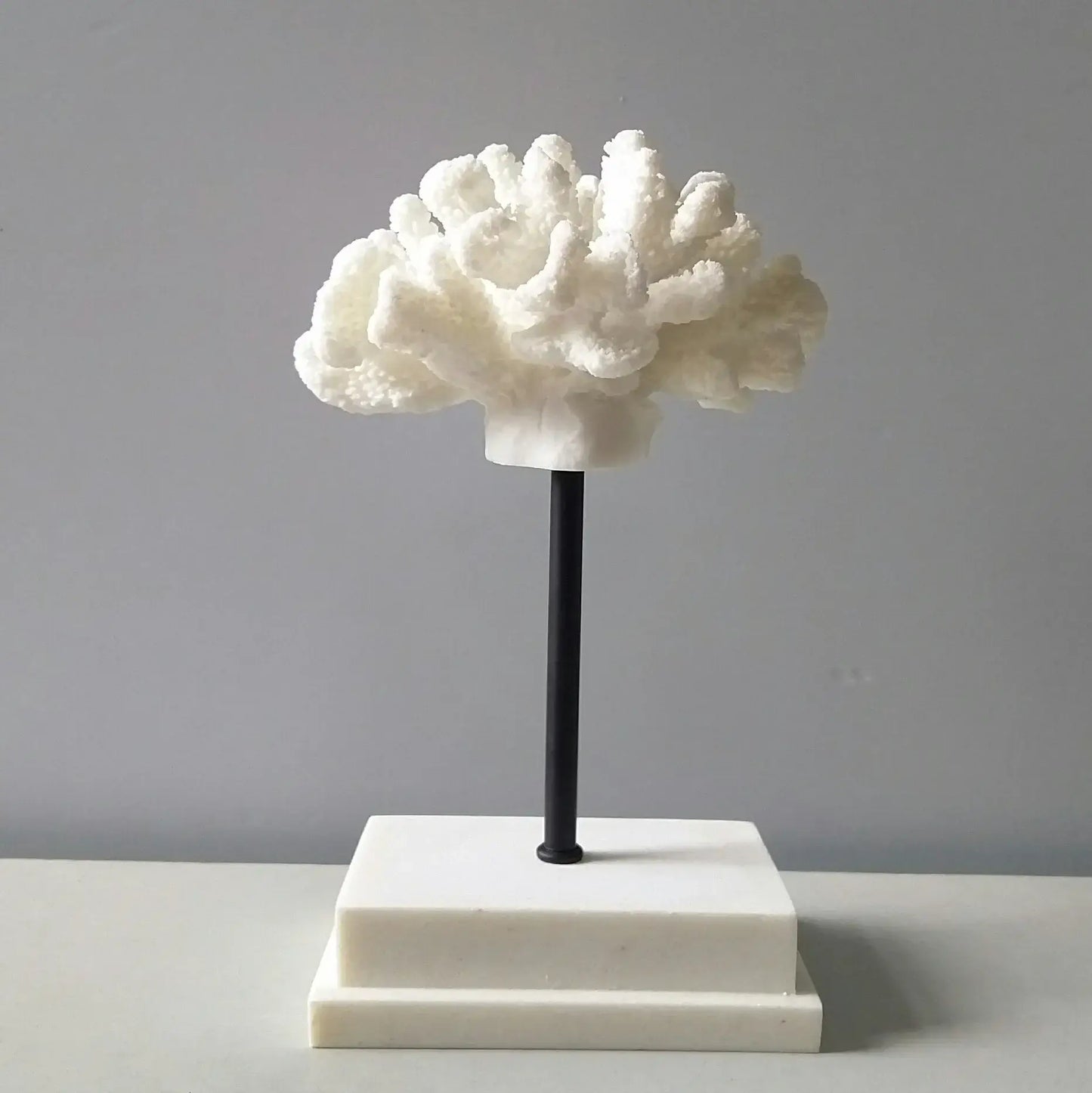 Fermaoggetti Statua "Coral Nizza" - con Corallo Sintetico in Resina Acrilica in diversi modelli.