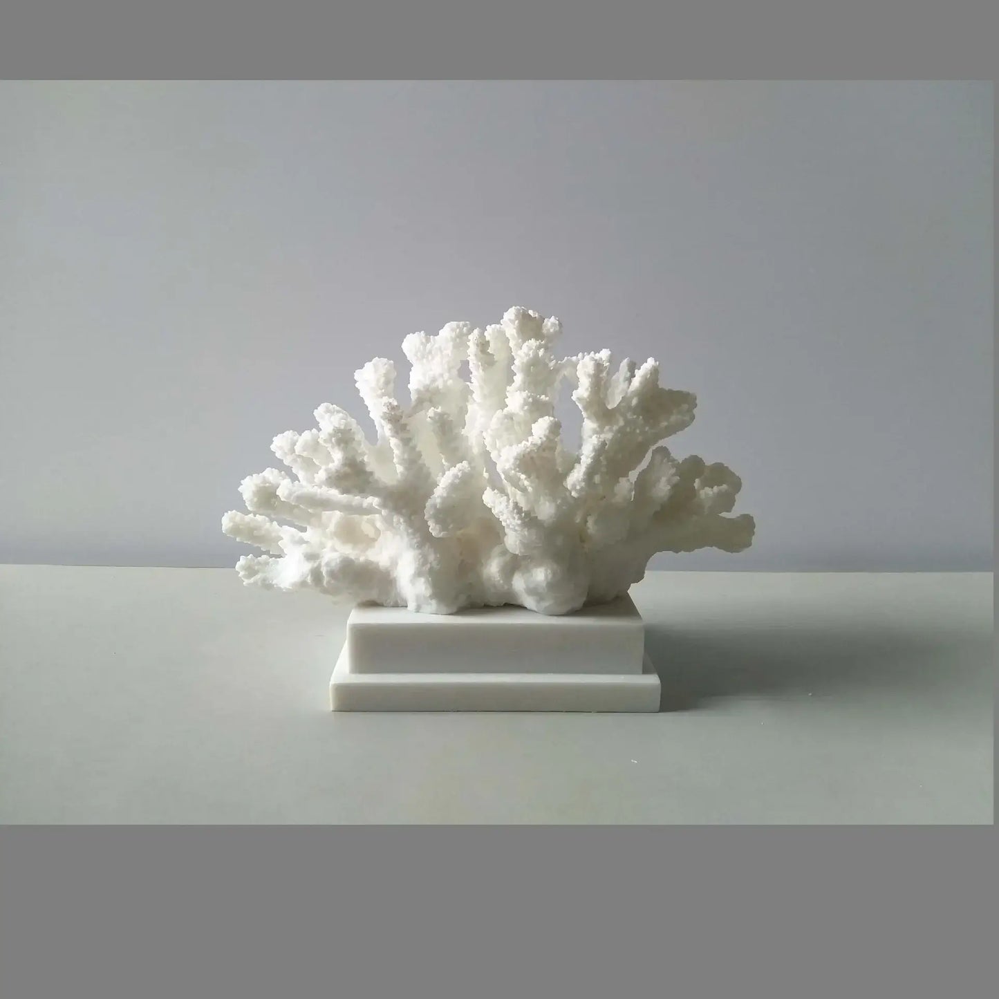 Fermaoggetti Statua "Coral Nizza" - con Corallo Sintetico in Resina Acrilica in diversi modelli.