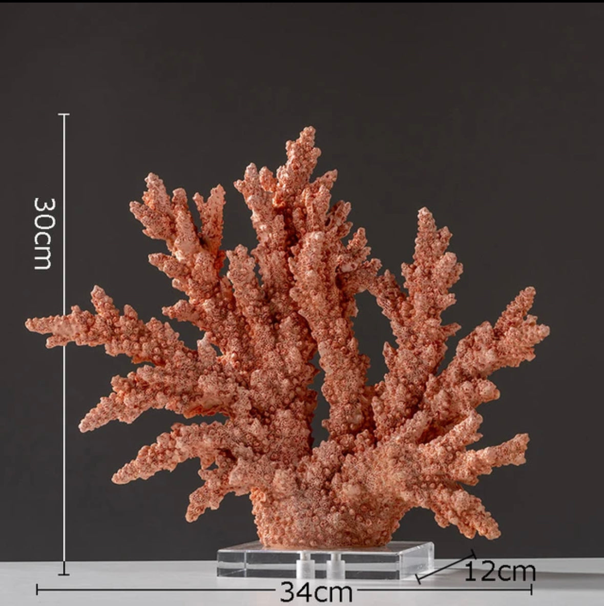 Fermaoggetti "Corallo Rosso Cannes" - Corallo Sintetico in Resina Acrilica su base acrilica Trasparente.