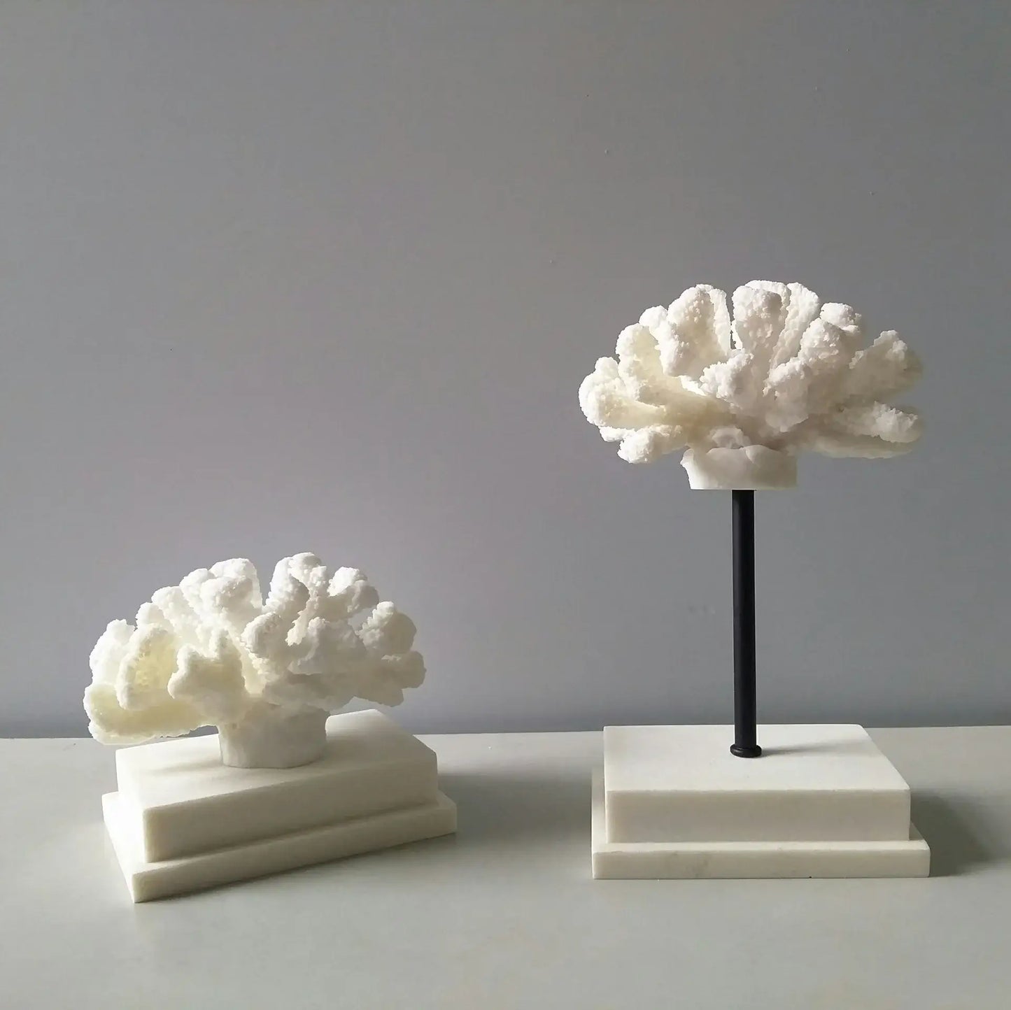 Fermaoggetti Statua "Coral Nizza" - con Corallo Sintetico in Resina Acrilica in diversi modelli.